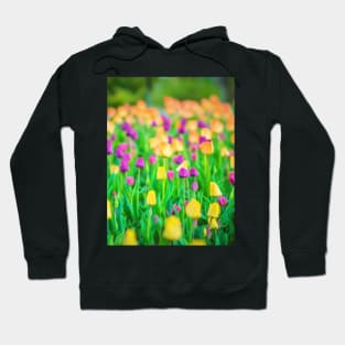 Tulips Hoodie